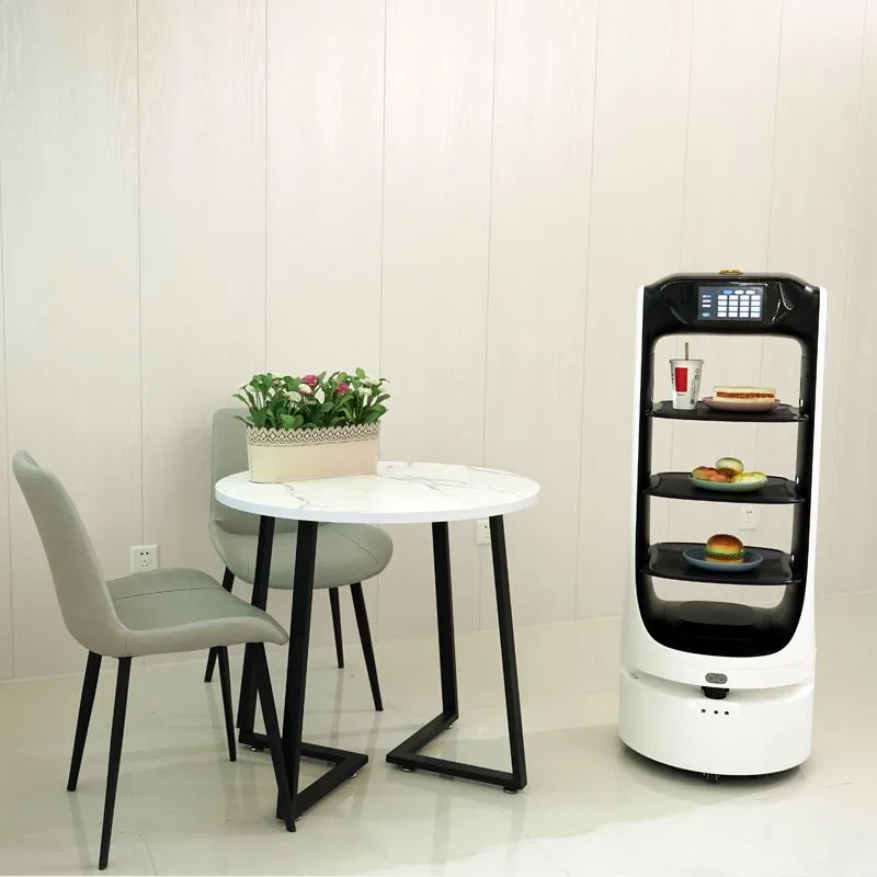 L'introduzione del robot di servizio Reeman