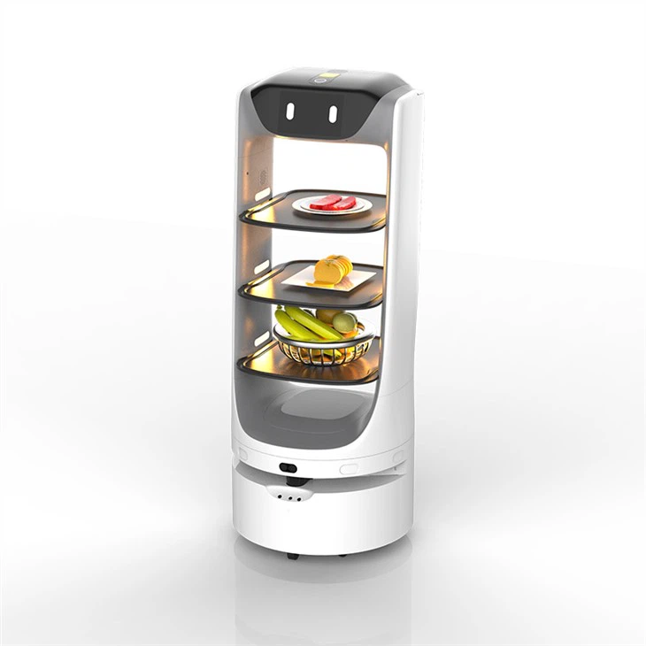 Dessert Delivery Robot