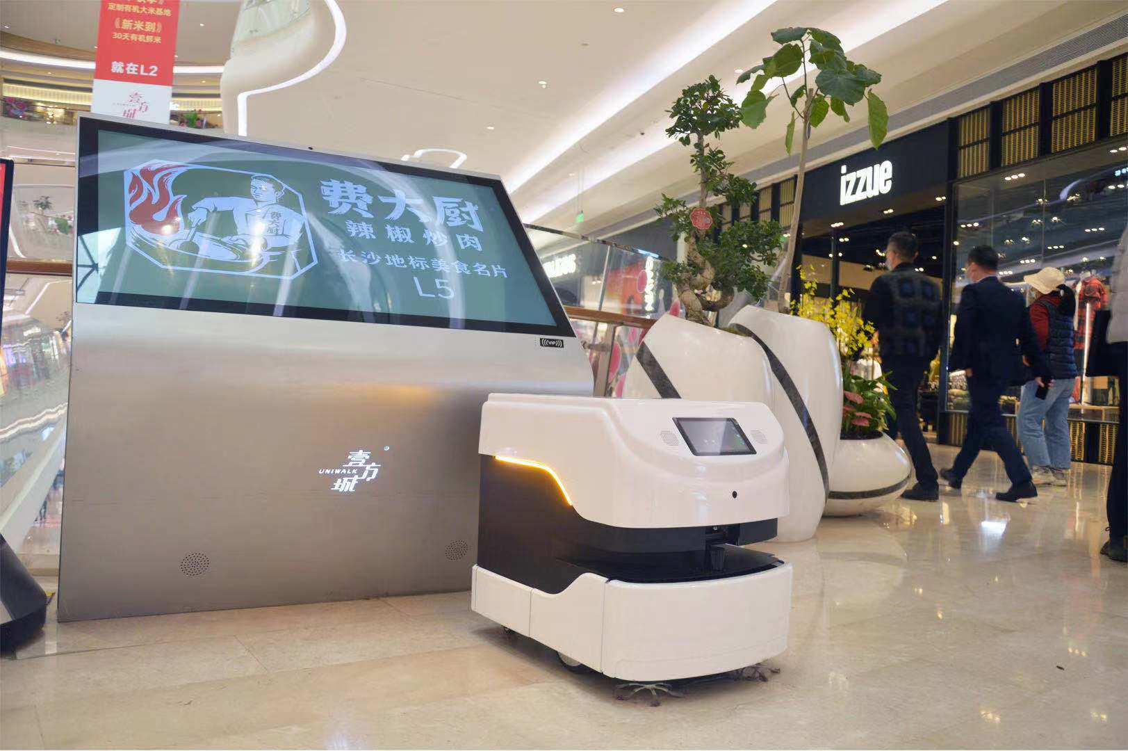 Nel 2022 i robot domestici andranno in mare! Fuori!!!!!